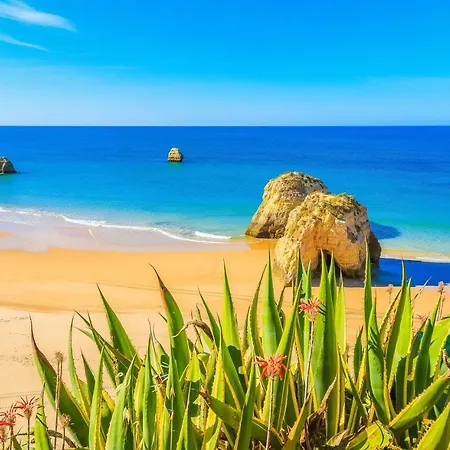 Apartamento Lovely Oceanview House *